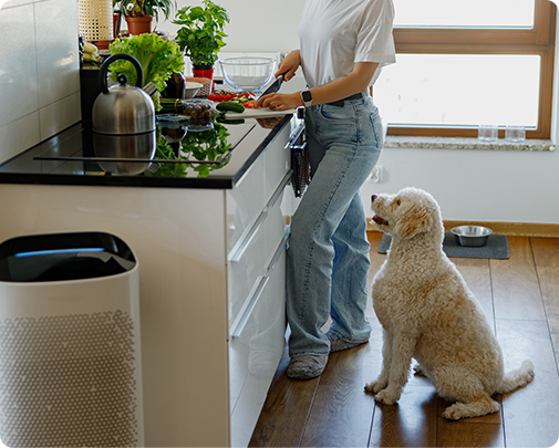 Ningbo Jia Chong International Trade Co., Ltd.