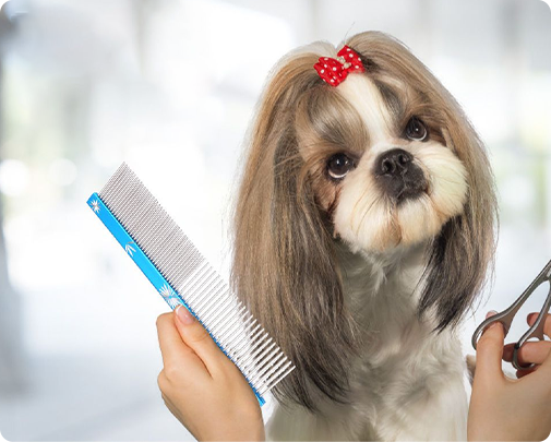 Ningbo Jia Chong International Trade Co., Ltd.