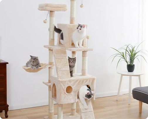 Ningbo Jia Chong International Trade Co., Ltd.