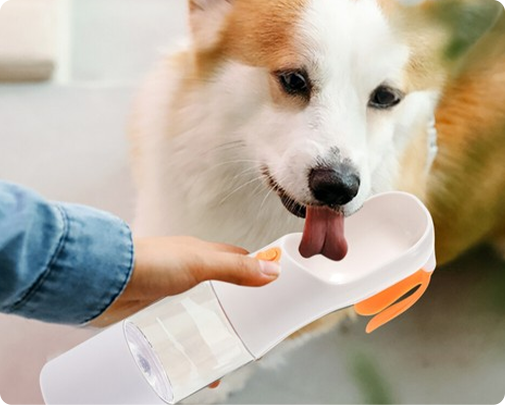 Ningbo Jia Chong International Trade Co., Ltd.