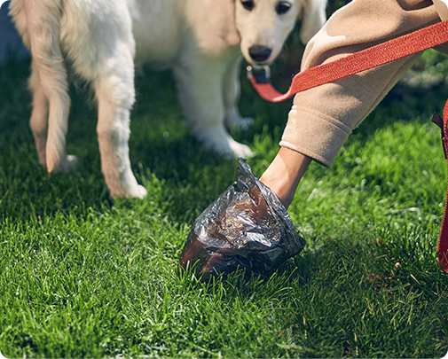 Ningbo Jia Chong International Trade Co., Ltd.