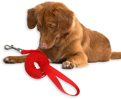 Ningbo Jia Chong International Trade Co., Ltd.