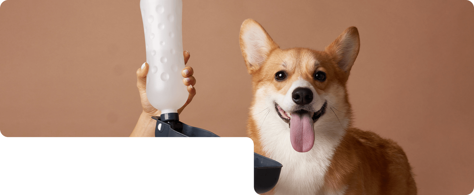 Ningbo Jia Chong International Trade Co., Ltd.