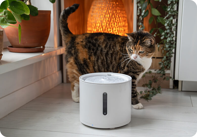 Ningbo Jia Chong International Trade Co., Ltd.