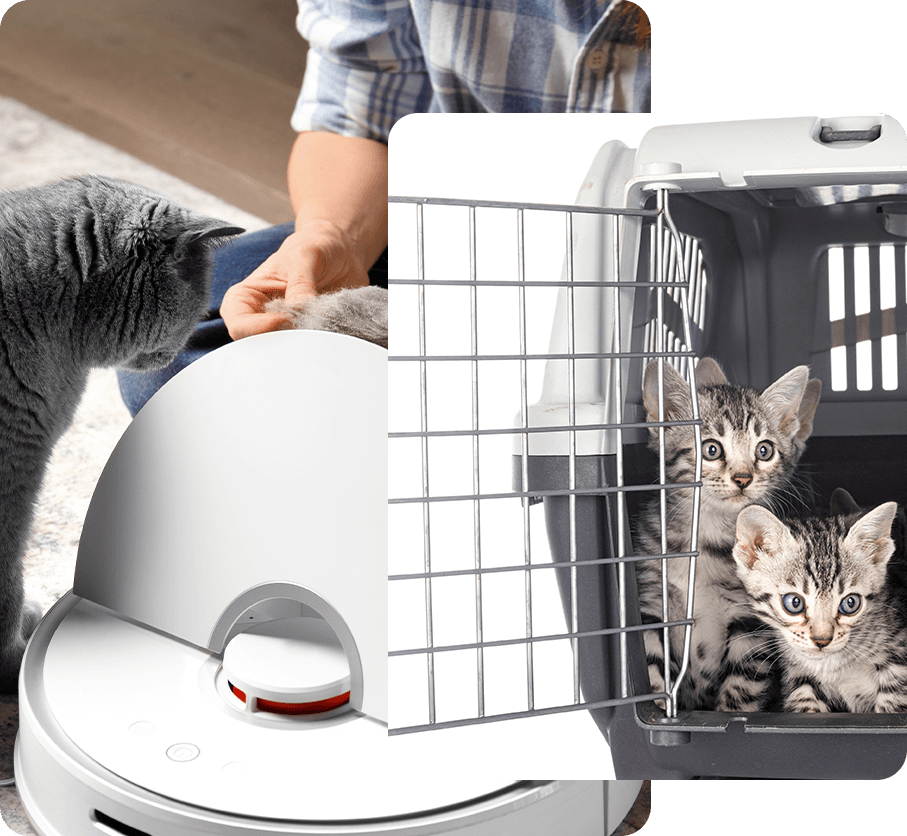 Ningbo Jia Chong International Trade Co., Ltd.