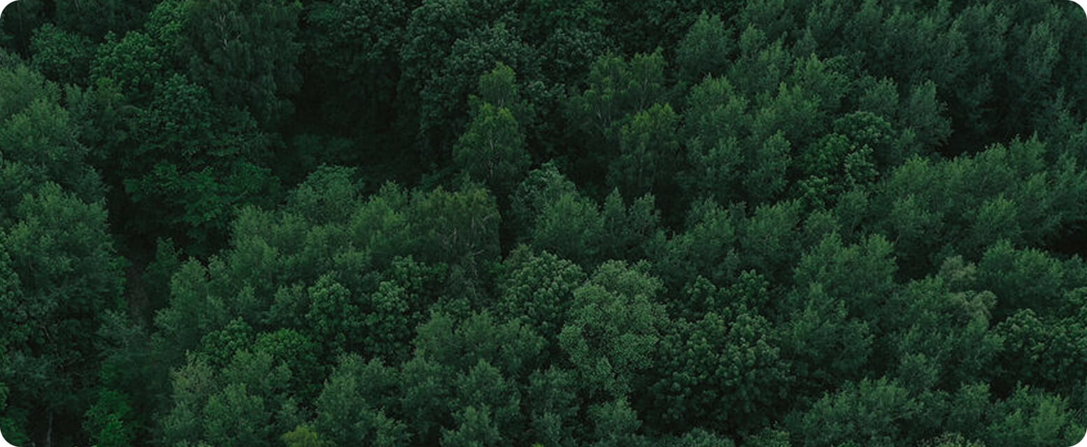 Ningbo Jia Chong International Trade Co., Ltd.