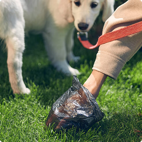 Ningbo Jia Chong International Trade Co., Ltd.